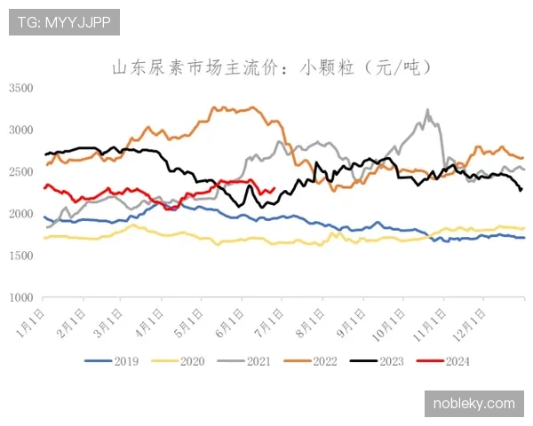 博努奇与马蒂斯防线集中度分化及体系驱动趋势